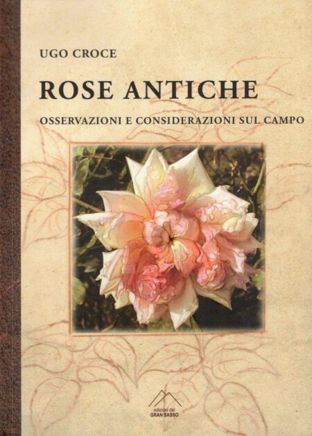 Rose antiche. Osservazioni e considerazioni sul campo